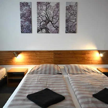 Saris Guest house *