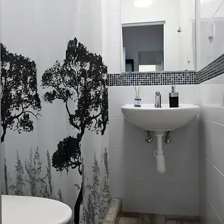 Saris Guest house *