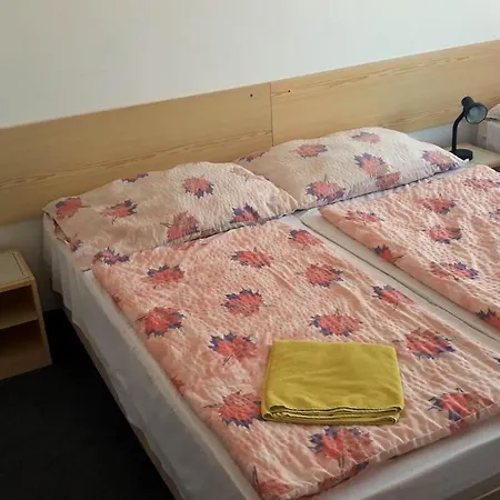 Guest house Saris *
